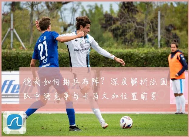 德尚如何排兵布阵？深度解析法国队中场竞争与卡马文加位置前景